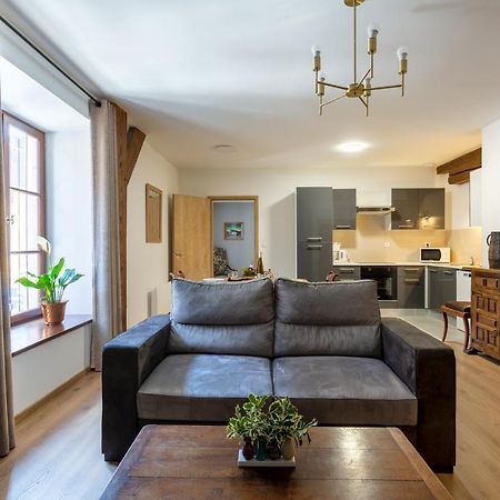 זלסטאט Le Rhenanus Ludwig Dringenberg - Appartement Au Calme - Centre Ville - Parking Gratuit מראה חיצוני תמונה