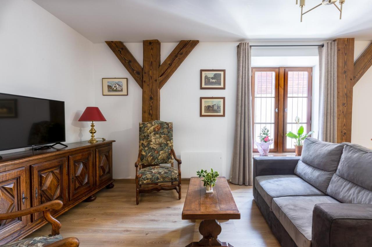 זלסטאט Le Rhenanus Ludwig Dringenberg - Appartement Au Calme - Centre Ville - Parking Gratuit מראה חיצוני תמונה