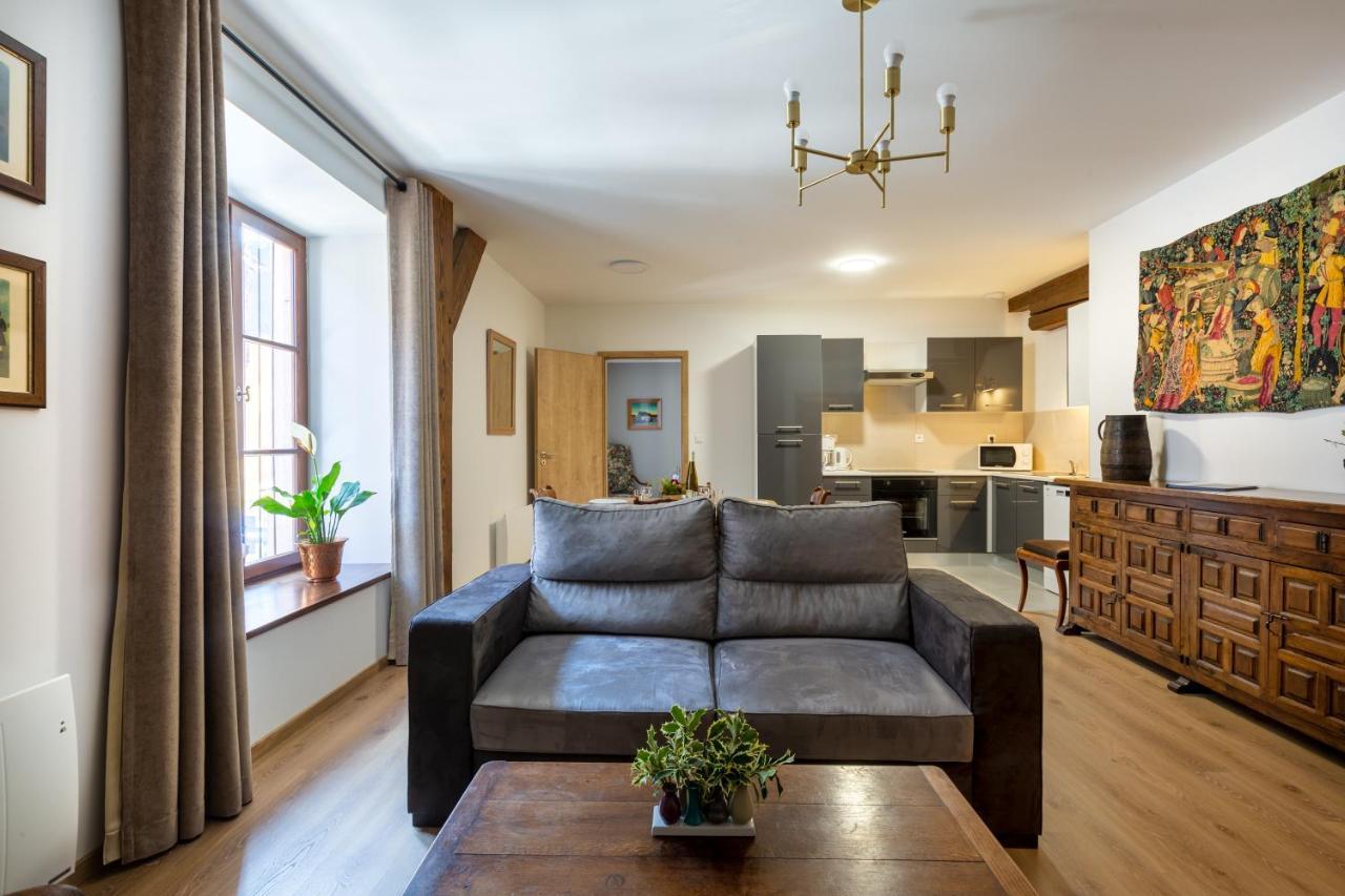 זלסטאט Le Rhenanus Ludwig Dringenberg - Appartement Au Calme - Centre Ville - Parking Gratuit מראה חיצוני תמונה